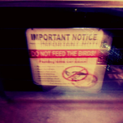 Sound Creator Against the Establishment