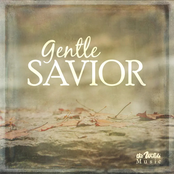 Gentle Savior