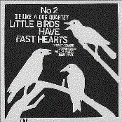 Little Birds Have Fast Hearts No 2