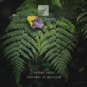 Feelings Of Decision