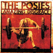 Posies: Amazing Disgrace