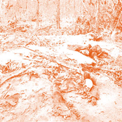 Blood Meridian For Electric Drone Guitar I​-​V