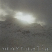Cold And Grey by Mortualia