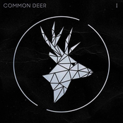 Common Deer: I