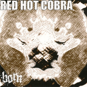 Cobra by Born