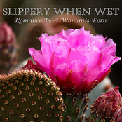 Bullies In the Schoolyard