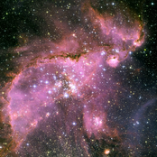 2010