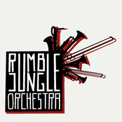 rumble jungle orchestra