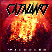Wildfire