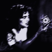 The Evil Films Vol. II