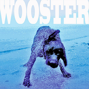 Take It Easy by Wooster