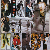 Beauty and Stupidity