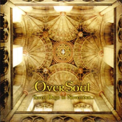 Seven Days In November