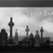 A Bullet, That Blew The Beauty Off Your Face