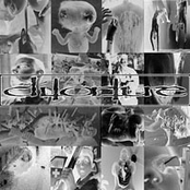 Pornographic Cliterature