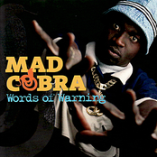 Words Of Warning by Mad Cobra