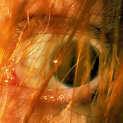 L'AVANT-DERNIER JOUR