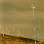 In Eidetic Resolution