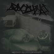 Estado De Putrefacción