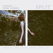 Astragal: Split