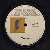 Torn to Pieces By A Crocodile In North Queensland