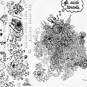 La Casa della Musica