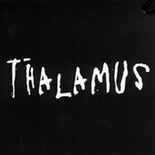Thalamus