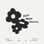 Peel Dream Magazine: Magic Is Pocketed