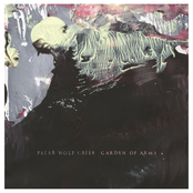 Peter Wolf Crier: Garden of Arms