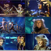 andrew lloyd webber & cats original broadway cast recorning