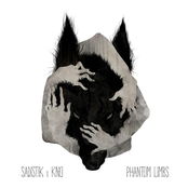 Phantom Limbs [Deluxe Edition]