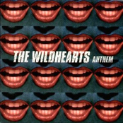 Time To Let You Go by The Wildhearts