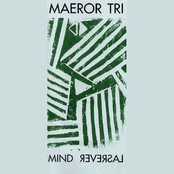 The Subjective Mind by Maeror Tri