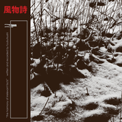 Harmony of Irrelevant Facts