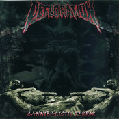 Cannibalistic Terror / Weak Effigy