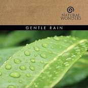 Natural Wonders: Gentle Rain