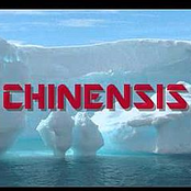 Chinensis