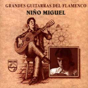 Grandes guitarras del flamenco