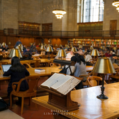 Relaxing Library Sounds