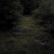 Fireworks: Higher Lonely Power