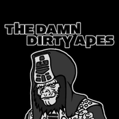 the damn dirty apes