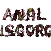 anal disgorge