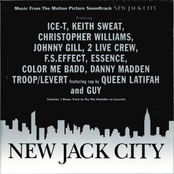 Christopher Williams: Music From The Motion Picture New Jack City