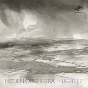 The Windfall (maddslinky Remix) by Hidden Orchestra