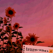 Summer Vibes