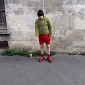 Forever dolphin love