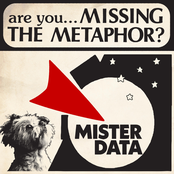 Missing the Metaphor