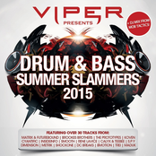 Decade of Viper (10 Years of Viper Recordings)