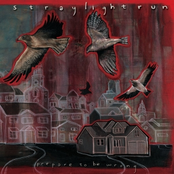 Later That Year by Straylight Run