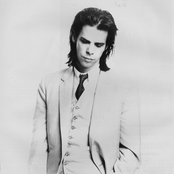 Nick Cave